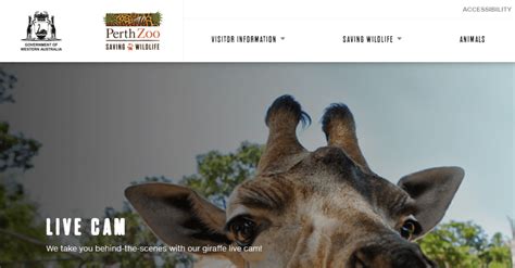 xperience by kentico perth|Perth Zoo .
